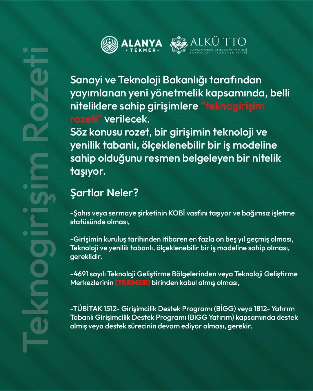 🚀 Teknogirişim Rozeti ✨